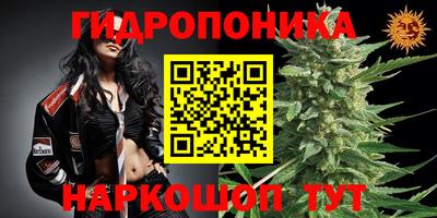 spice Жуковский