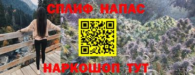 бошки Заводоуковск