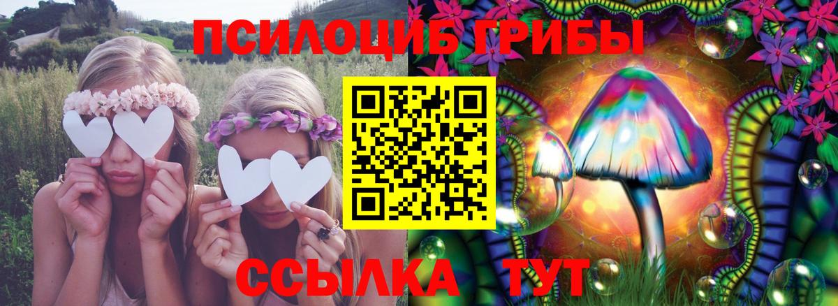 Псилоцибиновые грибы Magic Shrooms Мыски